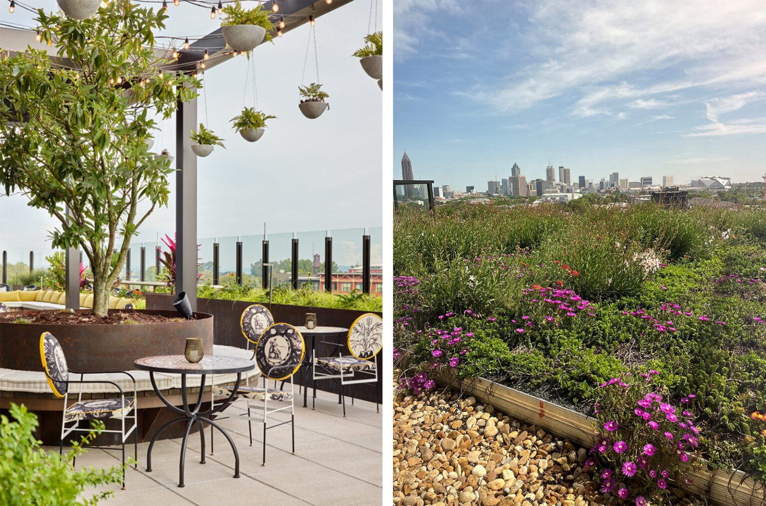 Green Roof